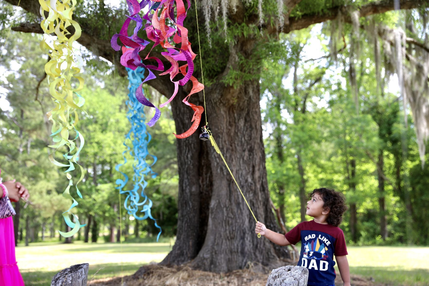 Outdoor Art Exhibit